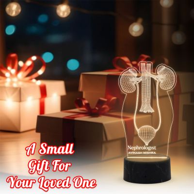 3D Illusion Kidney Acrylic Led Lamp Nephrologist Gift 3D Kidney Doctor Gifts